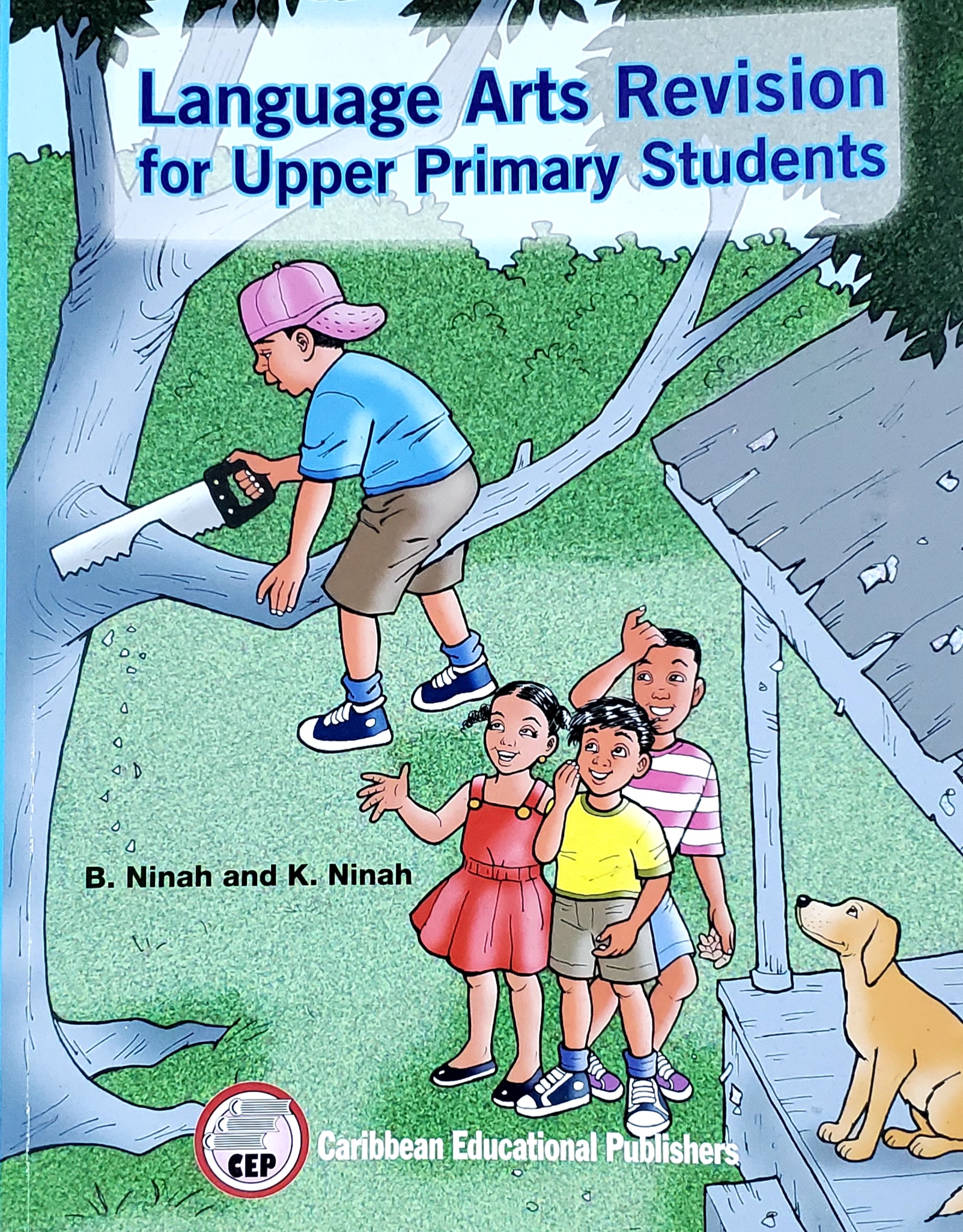 Language Arts Revision for Upper Primart Students